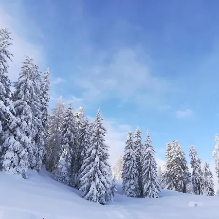 公寓 Alpenpanorama 戈尔德格