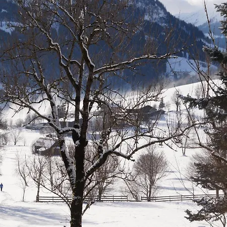 Alpenpanorama غولدغ