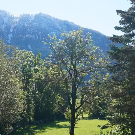 Alpenpanorama * Goldegg