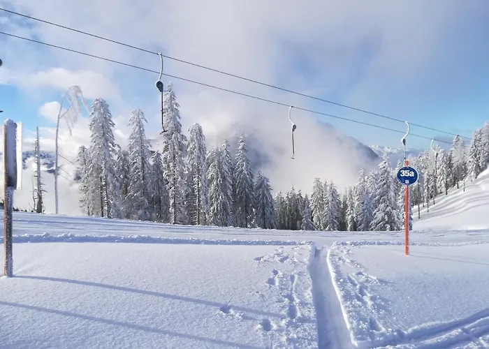 公寓 Alpenpanorama 戈尔德格