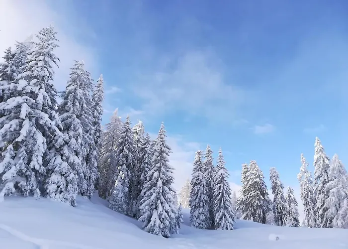 公寓 Alpenpanorama 戈尔德格