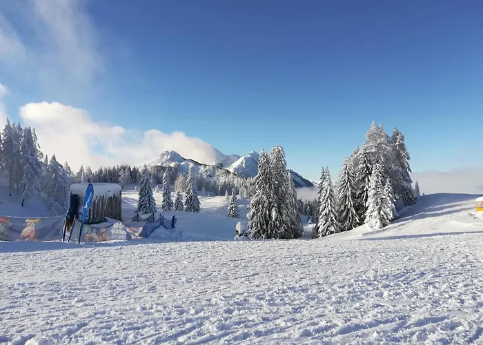 Alpenpanorama 公寓 *